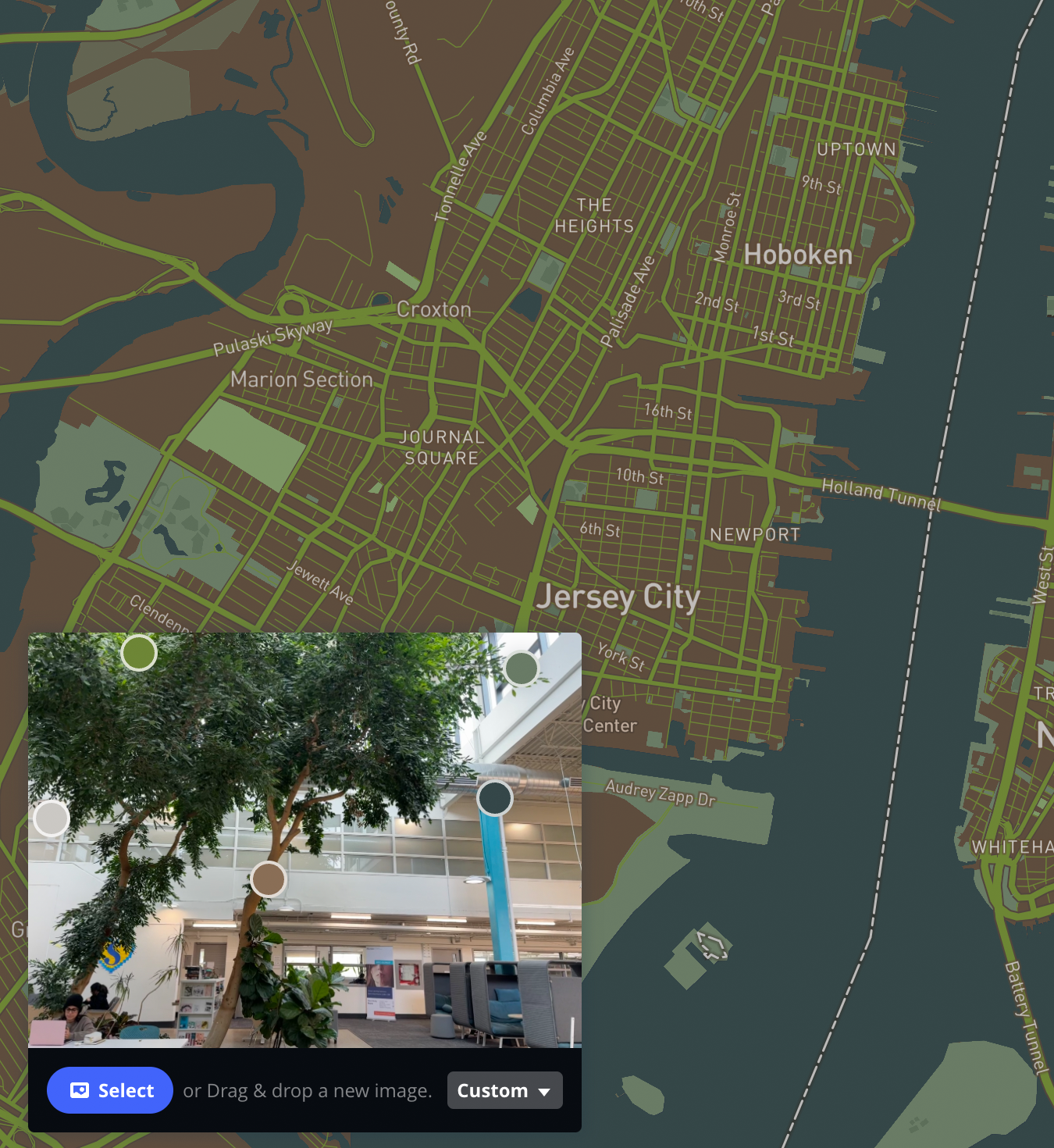 green and blue earthy toned map based on image of trees in Sheridan College library